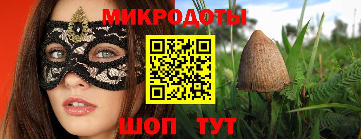 Галлюциногенные грибы Psilocybe  Вход с VPN  Дмитров  Псилоцибиновые грибы Psilocybe 
